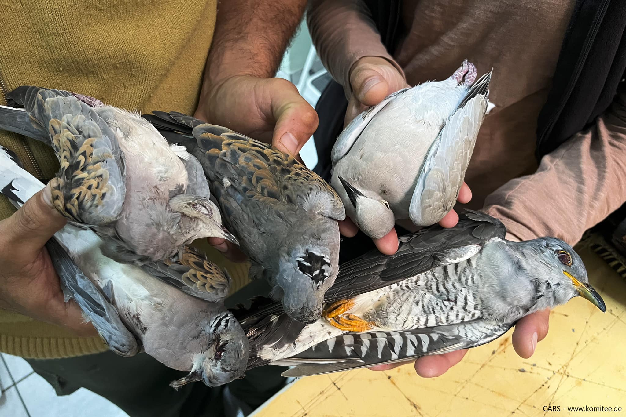 485131278_1038402644985659_6613470859887681979_n